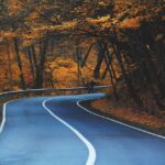 Designing Cars for Pet-Friendly Travel: Features for Comfort and Safety of Pets