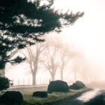 5G Connectivity in Automotive Prototyping: Enabling Smart Mobility