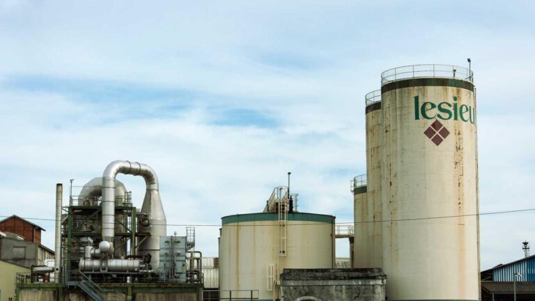 What Is Cric Bet 99.Com Website About?